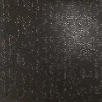 NX1201-F2 Golden Dark