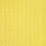 PV6355_giallo_optical