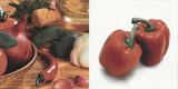 AP301-H4_DECOR_PIMIENTO