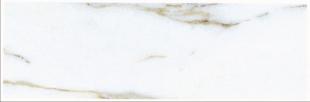 NX1903-W2