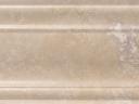 AS248-T1