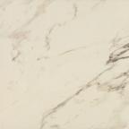 AP1401-F1